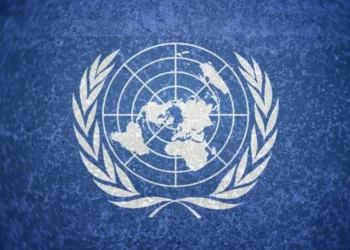 El papel de la Organización de las Naciones Unidas